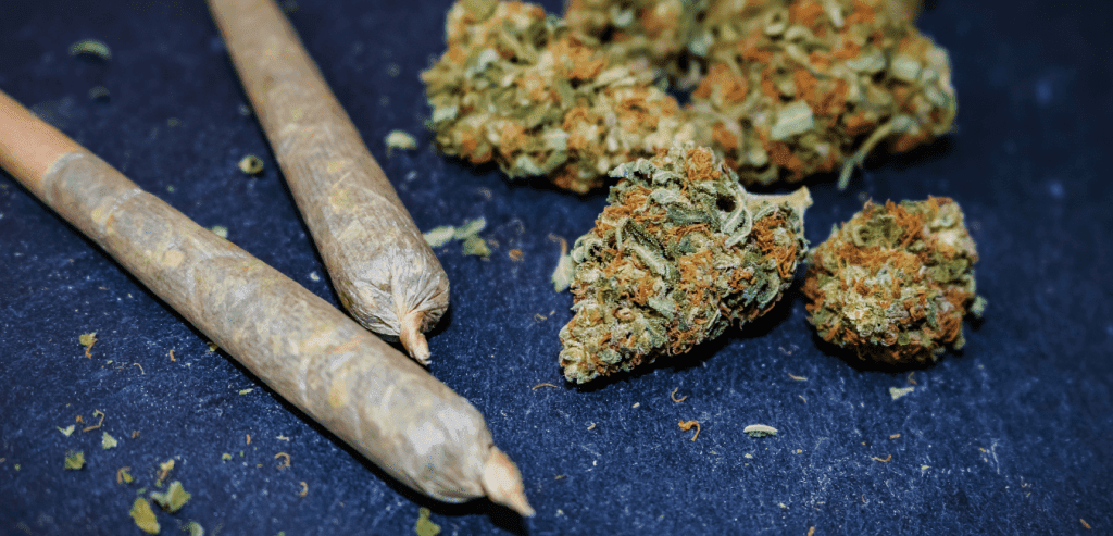 Marijuana Prosecution Declines in Denton