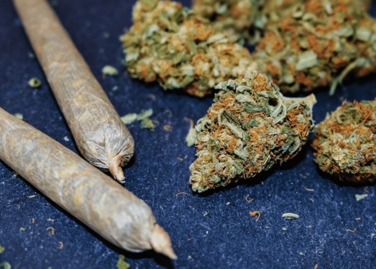 Marijuana Prosecution Declines in Denton