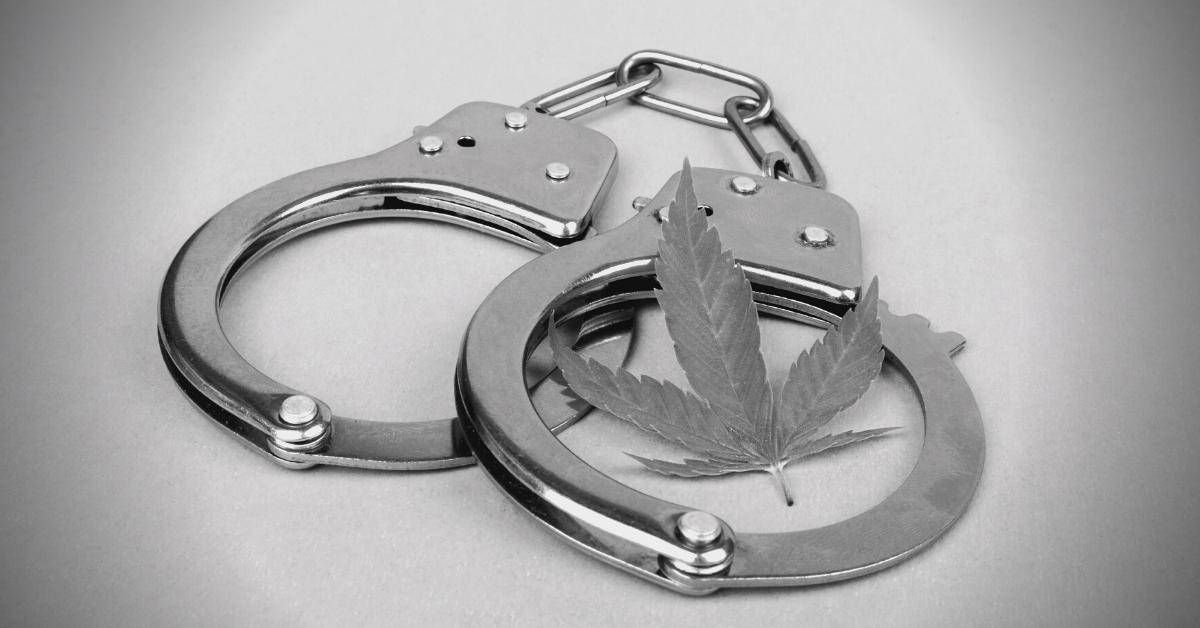 Marijuana Offenses